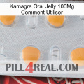 Kamagra Oral Jelly 100Mg How To Use 24